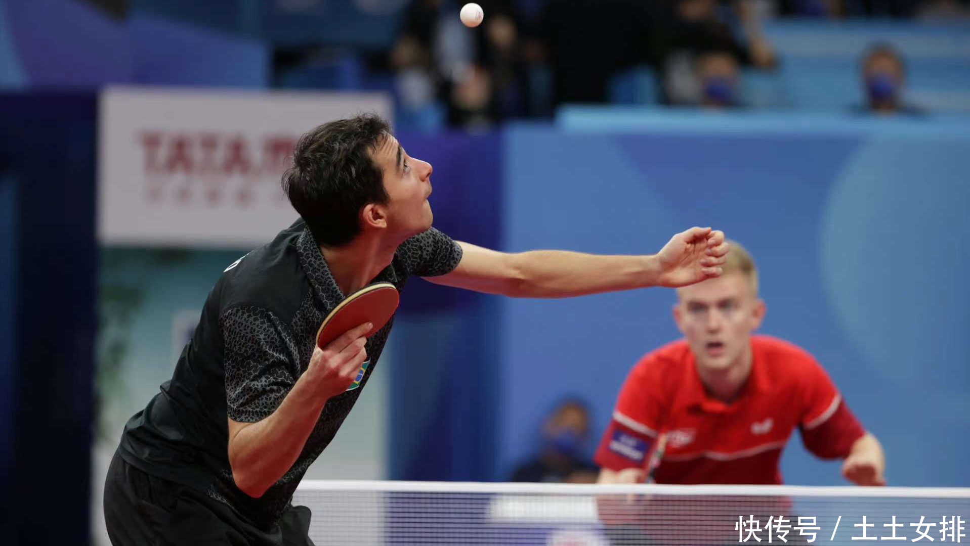 的系统训练 的系统训练